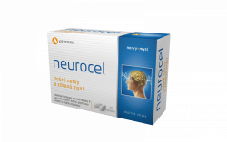 Neurocel