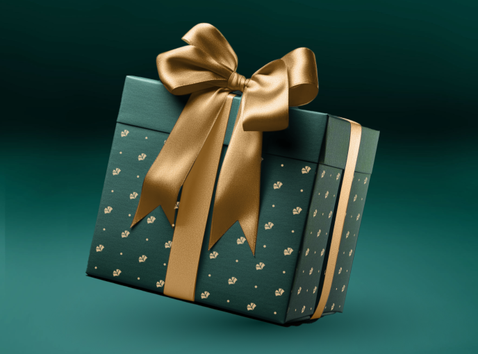 Vánoční průvodce