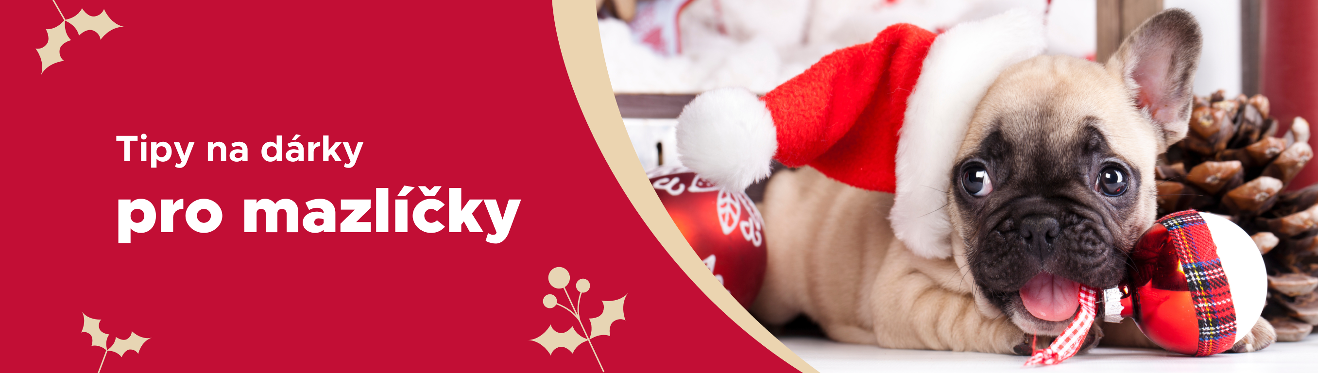 Chytře na dárky pro psy i další mazlíčky