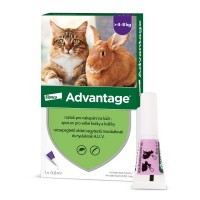 Advantage 80mg velké kočky a králíci spot-on 1x0.8ml